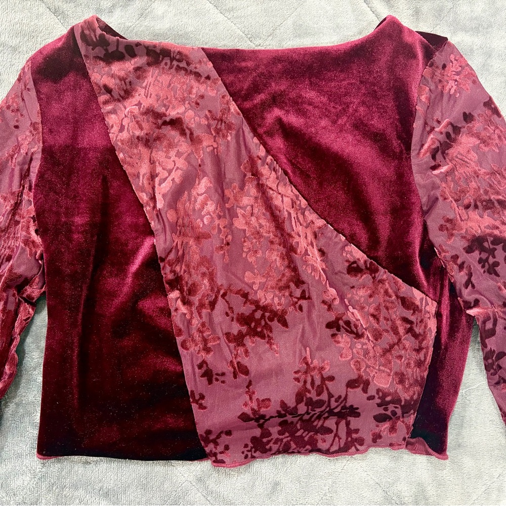 Cider Burgundy Velvet Floral Crop Top